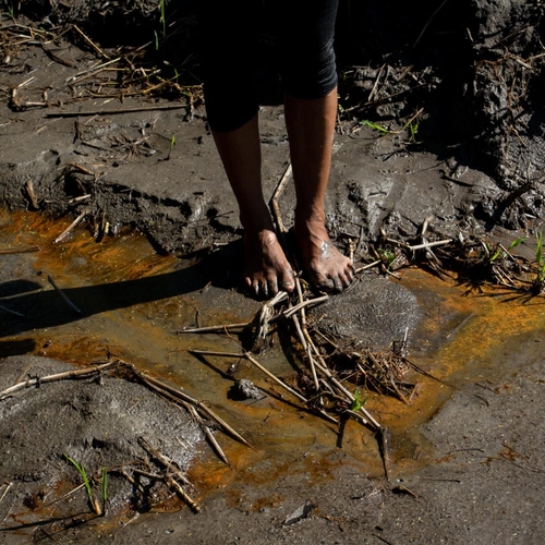 Afbeelding van 'Europese banken beloven niet meer te investeren in omstreden Amazone-olie'
