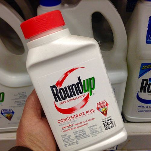 Afbeelding van Bayer moet bijna 87 miljoen dollar betalen in Roundup-zaak