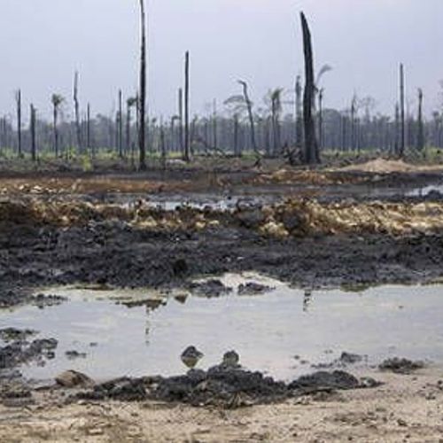 Afbeelding van Shell moet schadevergoeding betalen aan Nigeriaanse boeren om olielek